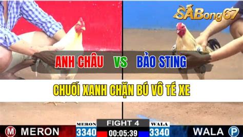 sabong 67 hôm nay|CPC2 TRẬN 10 16/06/2024.